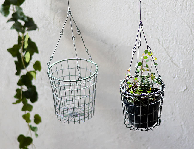 ヴィス ハンギングバスケット