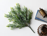 イエローフラワーブッシュ