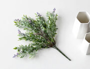 ベリー ブッシュ