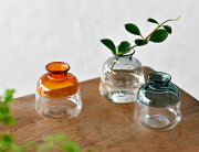 コティ ガラスベース