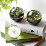 Globe ボタニカルオーブ
