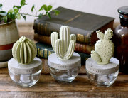 CACTUS フレグランスディフューザー