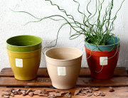 エコフォームズ ノバ 5