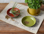 エコフォームズ ソーサー 9cm