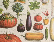 Cavallini & Co. ポスター ジャルダン