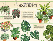 Cavallini & Co. ポスター ハウスプランツ
