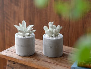 PLANTS ルームフレグランス