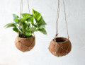 ハンギング ココプランター