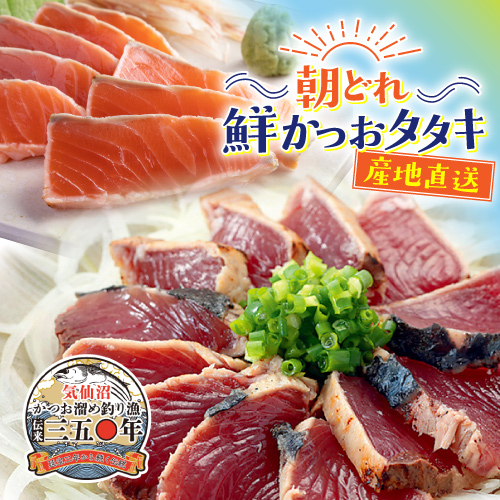 朝どれ！鮮かつおタタキ600g　炙りサーモン1柵【Dセット】　冷蔵便　季節限定　送料無料