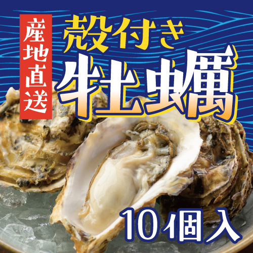 【加熱用】宮城県産殻付き牡蠣　10個入　送料込