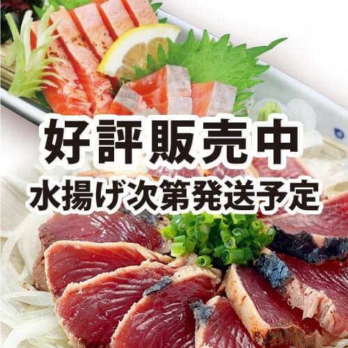 朝どれ 鮮かつおタタキと炙りサーモン Dセット 送料無料 うまい 三陸 気仙沼お魚いちば