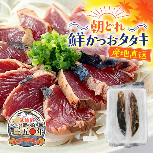 朝どれ！鮮かつおタタキ600g（2～3節）【Aセット】 冷蔵便　季節限定　送料無料