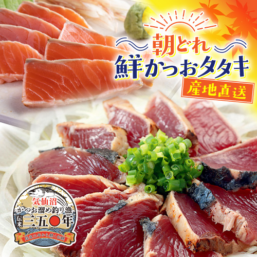 朝どれ！鮮かつおタタキ600g　炙りサーモン1柵【Dセット】　冷蔵便　季節限定　送料無料
