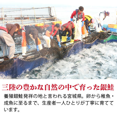 サーモンマリネ