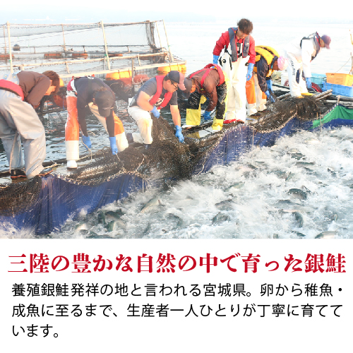 サーモンスライス