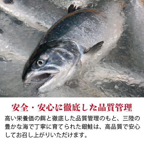 サーモンスライス