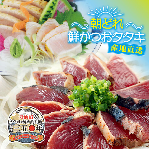 （鰹）6点まとめ買い 朝どれ！鮮かつおタタキ600g 炙りサーモン1柵【Dセット】 冷蔵便