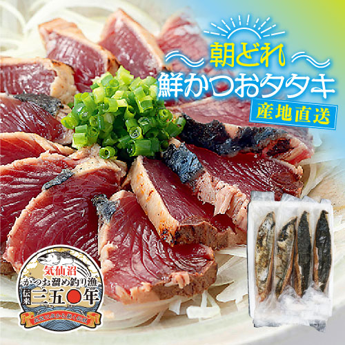 （鰹）6点まとめ買い 高知特産！鰹タタキ2100g 6節（タレ6本） | カテゴリーから探す