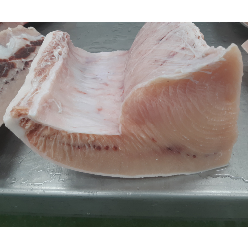 送料無料 訳あり 冷凍メカジキ 約1 0kgブロック 背 腹 お刺身 焼き物など