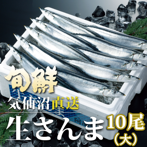 気仙沼直送 生さんま 10尾(大) 送料無料 【冷蔵】