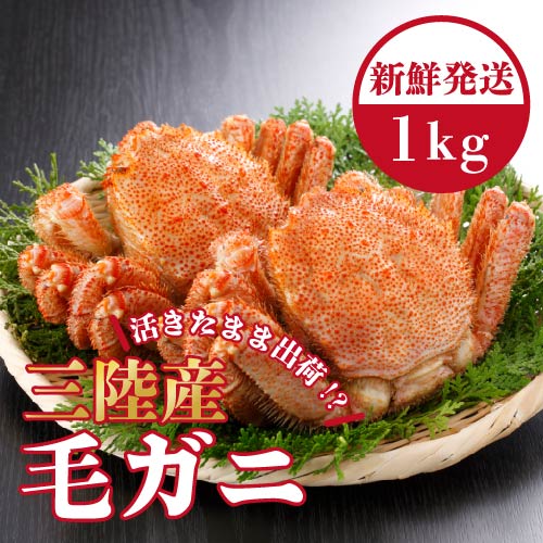 毛蟹　3杯　専用 c92f5d5019df1e56706160a422f1cd