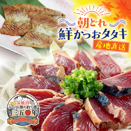朝どれ！鮮かつおタタキ600g ハラス6枚入【Eセット】 冷蔵便　季節限定　送料無料