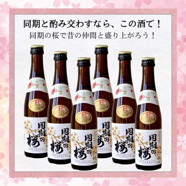 同期の桜 本醸造 上撰 300ml 6本セット ： お酒スタイル
