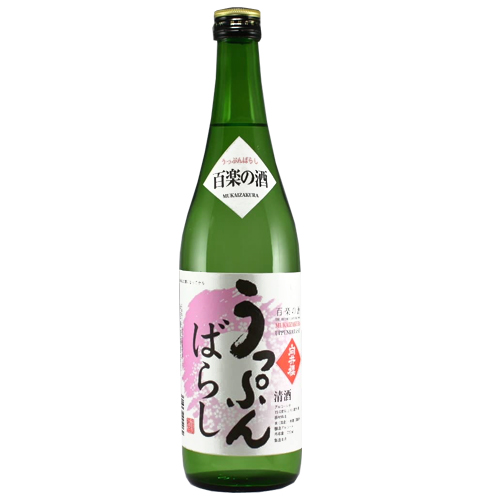 向井櫻　うっぷんばらし