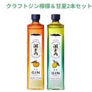 クラフトジン 瀬戸内檸檬＆甘夏 700ml×2本 送料無料 三宅本店 千福 呉市 御祝 御礼 母の日 父の日 御中元 御歳暮 御年賀 内祝 出産内祝 誕生日祝 結婚祝 退職祝 卒業祝 還暦祝 古希祝 傘寿祝 喜寿祝 米寿祝 開店祝 新築祝 快気祝 感謝 贈り物 プレゼント ギフト 人気 寿 壽