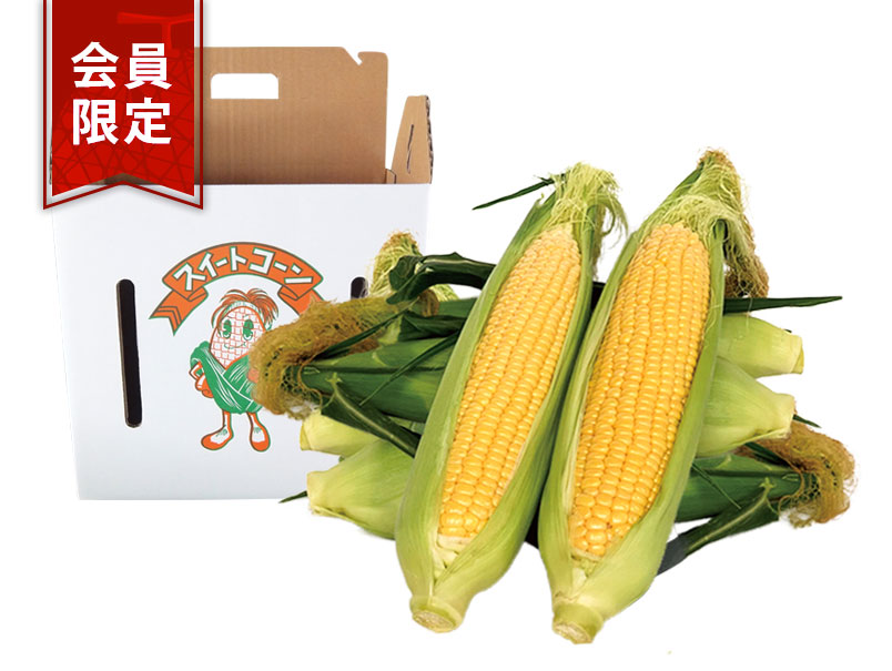 【会員限定】とうもろこし10本