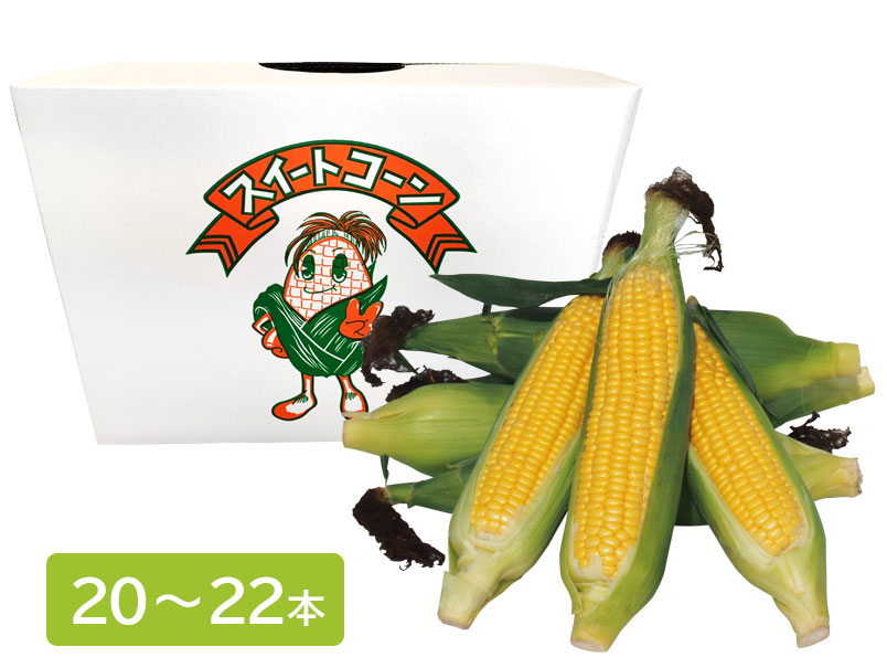 とうもろこし20～22本