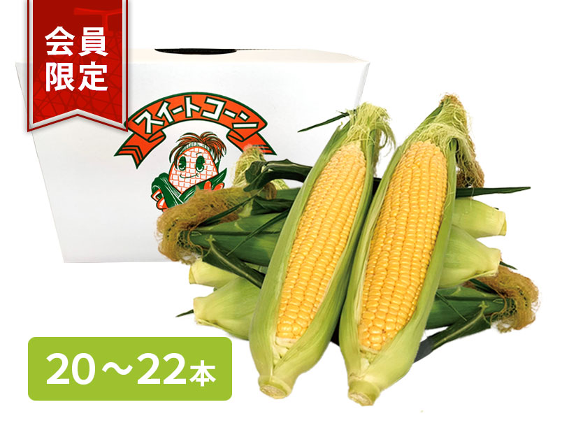 【会員限定】とうもろこし20本