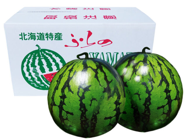 富良野産　スイカ　5L 約10kg×2玉 計20kg超　正品 北海道 富良野産 スイカ | 北海道 富良野市 スイートベジタブル