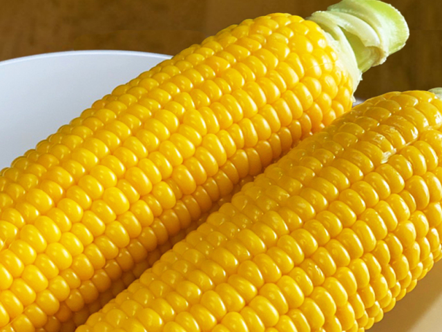 とうもろこし10本