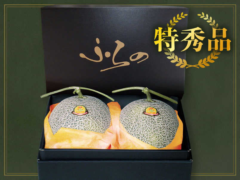 【特秀品】富良野メロン 赤肉2玉