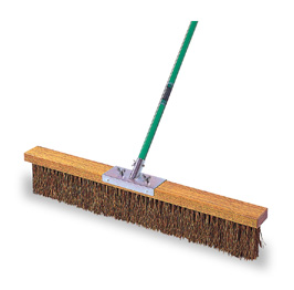 コートブラシ（シダ）