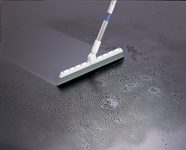 EFラバーブルーム1