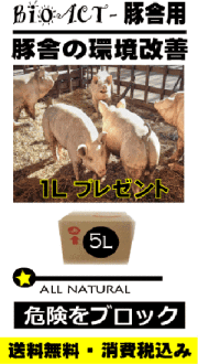 bioact ALL NATURAL TS 豚舎用 5L  (プラス１L無償・ラベル無し）