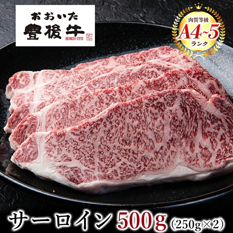 おおいた豊後牛 サーロインステーキ 2枚 500g  大分県 ブランド牛 黒毛和牛 おおいた和牛 お取り寄せ