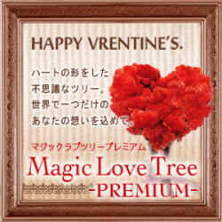 マジックラブツリー プレミアム