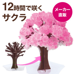 【メール便】 マジック桜 Magic桜【日本製】 7営業日(土日祝日を除く)で出荷