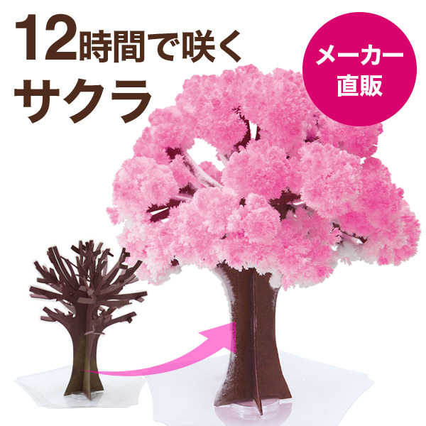 【メール便】 マジック桜 Magic桜【日本製】 7営業日(土日祝日を除く)で出荷
