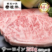 おおいた豊後牛 サーロインステーキ 1枚 250g  大分県 ブランド牛 黒毛和牛 おおいた和牛 お取り寄せ