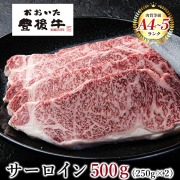 おおいた豊後牛 サーロインステーキ 2枚 500g  大分県 ブランド牛 黒毛和牛 おおいた和牛 お取り寄せ