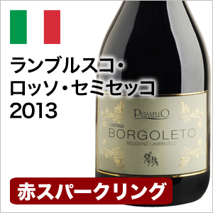 スパークリングワイン 中辛口 ランブルスコ・ロッソ・セミセッコ 2013 イタリアランブルスコ 750ml 自社輸入