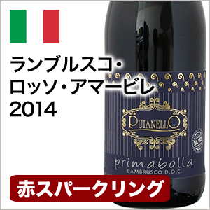 スパークリングワイン 甘口 ランブルスコ・ロッソ・アマービレ 2014 イタリアランブルスコ 750ml 自社輸入