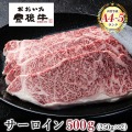 おおいた豊後牛 サーロインステーキ 2枚 500g  大分県 ブランド牛 黒毛和牛 おおいた和牛 お取り寄せ