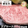 おおいた豊後牛 リブロースステーキ 2枚 500g  大分県 ブランド牛 黒毛和牛 おおいた和牛 お取り寄せ