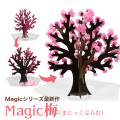 マジック梅 (Magic桜シリーズ)