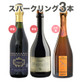 スパークリングワイン セット ロゼ 赤 スパークリング 3本 ランブルスコ フランス イタリア